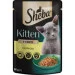   Sheba    Kitten    85 