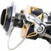   Shimano  Stella 19" SW-C 8000PG 13+ 1BB (2266-96-29)
