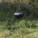 Shop-Pan    12   -