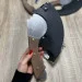   Shop-Pan ͳ-      