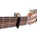  Shubb C2 Standard Capo