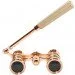  Sigeta TEATRUM L 3x25 () Gold (65879)