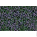 Siltek   Decor Silicon Mosaic 220 25 