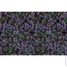 Siltek   Decor Silicon Mosaic 4010 25 
