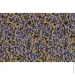Siltek   Decor Silicon Mosaic 4275 25 