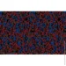 Siltek   Decor Silicon Mosaic 4499 25 