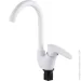    Silver KLE PL SLHO0749WH