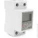 ˳ 㳿 Sinotimer LWCD-DS LCD,   DIN-