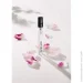   Sister`S Aroma  PEONYHOLIC 10 