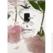   Sister`S Aroma  PEONYHOLIC 50 