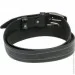 Skipper      11127  3.4  (11127 black)
