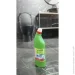 Skrubbery    Evergreen 1 