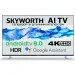 Skyworth 49Q3 AI