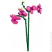Sluban  Pleyerid  261 . M38-B1101-12