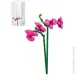 Sluban  Pleyerid  261 . M38-B1101-12