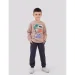   Smil     115638