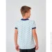 Smil - ( )   SMIL 114112    . 128 (114112-risunok-na-golubom-46278)