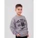    SMIL 116668 ѳ . 134 (116668-seryj-52151)