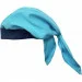    SMIL 118609 - . 45