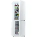  Snaige RF31SM-S0002E
