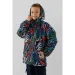 Snowgenius     B35-018 116   (2000990228352D)