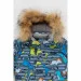 Snowgenius     H31-012 74  ѳ (2000989628194W)