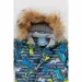 Snowgenius     H31-012 80   (2000989628200W)