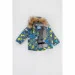 Snowgenius     H31-012 80   (2000989628200W)