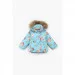 Snowgenius  H22-025 80  (2000989075882)