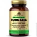 Специальная добавка Натуральная добавка Solgar Echinacea, 100 вегакапсул Специальная добавка Натуральная добавка Solgar Echinacea, 100 вегакапсул
