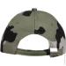  Sol`S  Buffalo .  