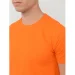 Sol`S  Regent . XL 11380400XL 
