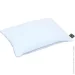 Songer Und Sohne     50x70  