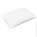 Songer Und Sohne   Optimal 40x60  