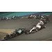  Sony F1 2021 ( ) (PS4) (29628)