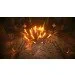  Sony PS4 Darksiders Genesis,   (49548)