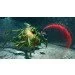  Sony PS4 Darksiders III,  