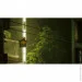  Sony Stray ( ) (PS4) (89876)