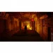  Sony Stray ( ) (PS4) (89876)