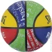 Spalding   Rookie Series, 5. (0689344406817)
