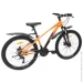 SPARK PLEASURE (  26",    13")    (000222947)