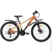  SPARK PLEASURE (  26",    13")    (000222947)