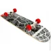 Spartan Sport  Utop Demon SPARTAN (9001741283029)