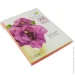  Spectra Color    A4 75 /  50 