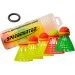  Speedminton Set S90