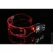 Spy X     LED- (AM10533)
