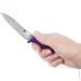  Spyderco   Counter Puppy, 7Cr17, Plastic purple (K20PPR)