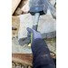  Stanley Fiberglass 1 (STHT0-54126)
