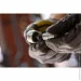   STANLEY 1/4"  10 ,    , . (FMMT17195-0)