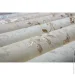 Status      414ST19 1,06x10,05 